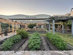 Garden2.jpg